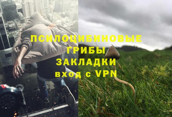 крисы Аркадак