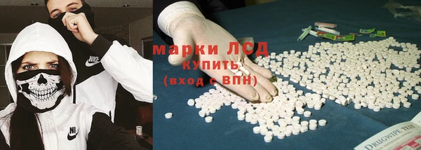 крисы Аркадак