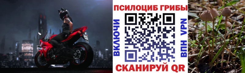 Купить где  Вилюйск  Галлюциногенные грибы Psilocybine cubensis 